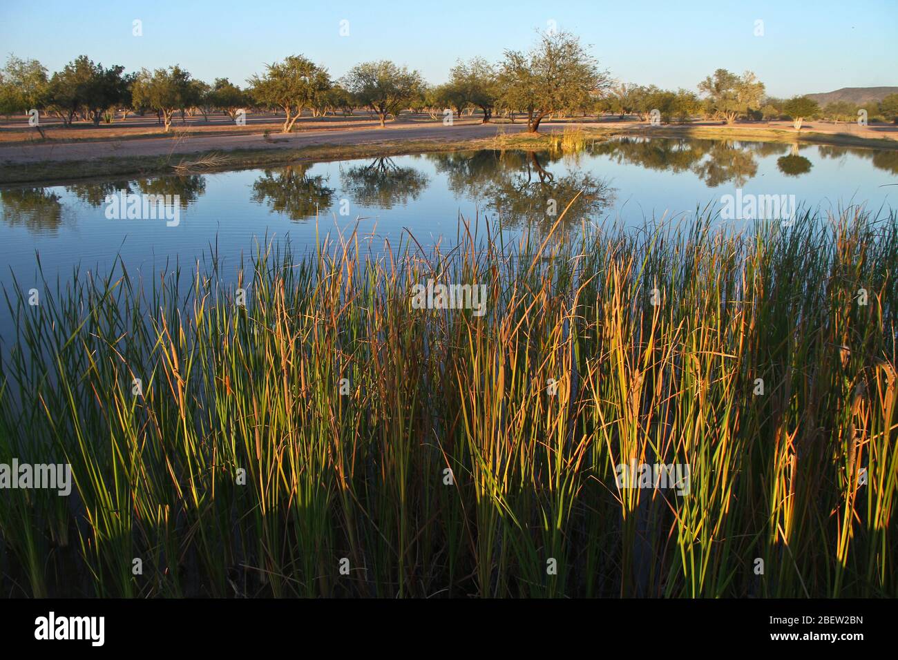 Club de Golf estilo desertico  en el real de Catorce (Foto:LuisGutierrez/NortePhoto.com) Stock Photo