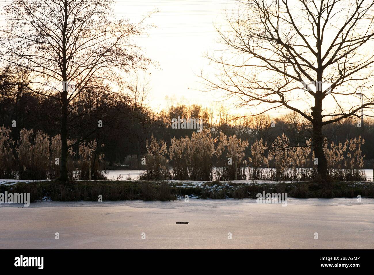 a frozen lake at sunset (Karpfenteich) Stock Photo