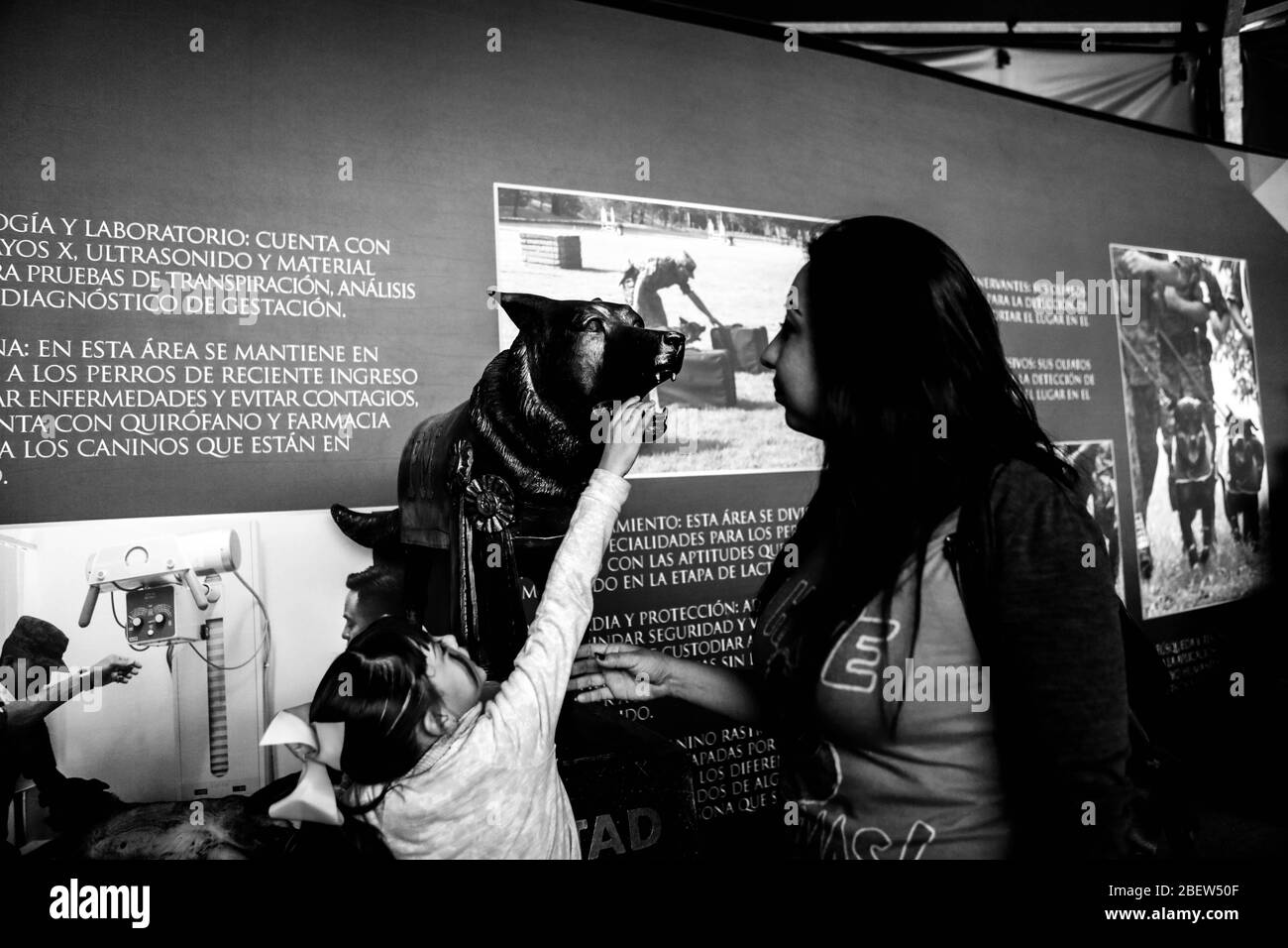Industry Expo Force Area and Military.   To celebrate the centenary of the military industry and the 50 years of the plan DN III-E, the exhibition 'Armed Forces ... passion for serving Mexico' was inaugurated in Hermosillo.  There are 19 modules and an interactive children's area, which will be open from 7:00 in the morning to 6:00 in the afternoon, from this November 23 to December 18 in the parking lot of the Expogan      Expo de la industria Fuerza Area y Militar.   festejar el centenario de la industria militar y los 50 años del plan DN lll-E, se inauguró en Hermosillo la exposición 'Fuerz Stock Photo