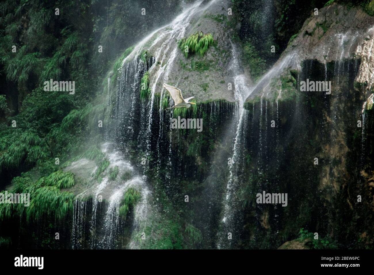 Vuelo hÃºmedo entre cascadas gigantes Stock Photo