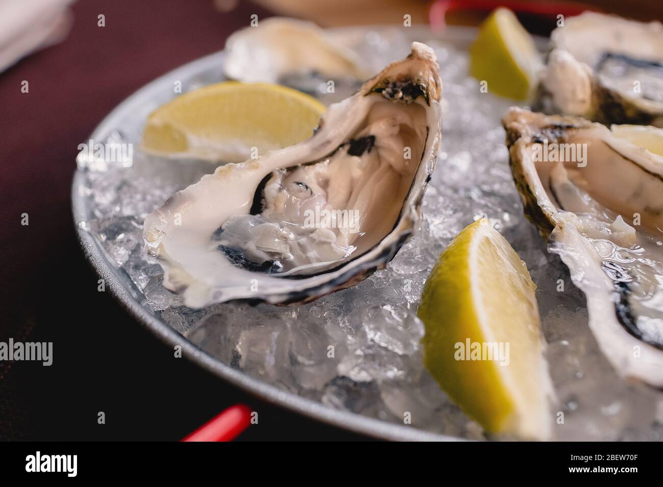 Plate with oysters, lemon and ice Stock Photo