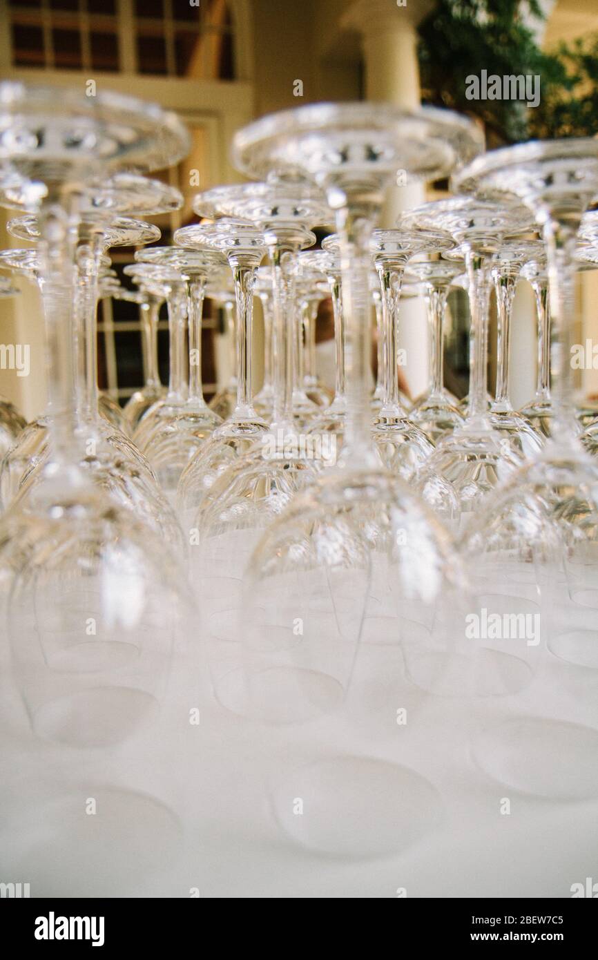 Stemware lined up for servers Stock Photo