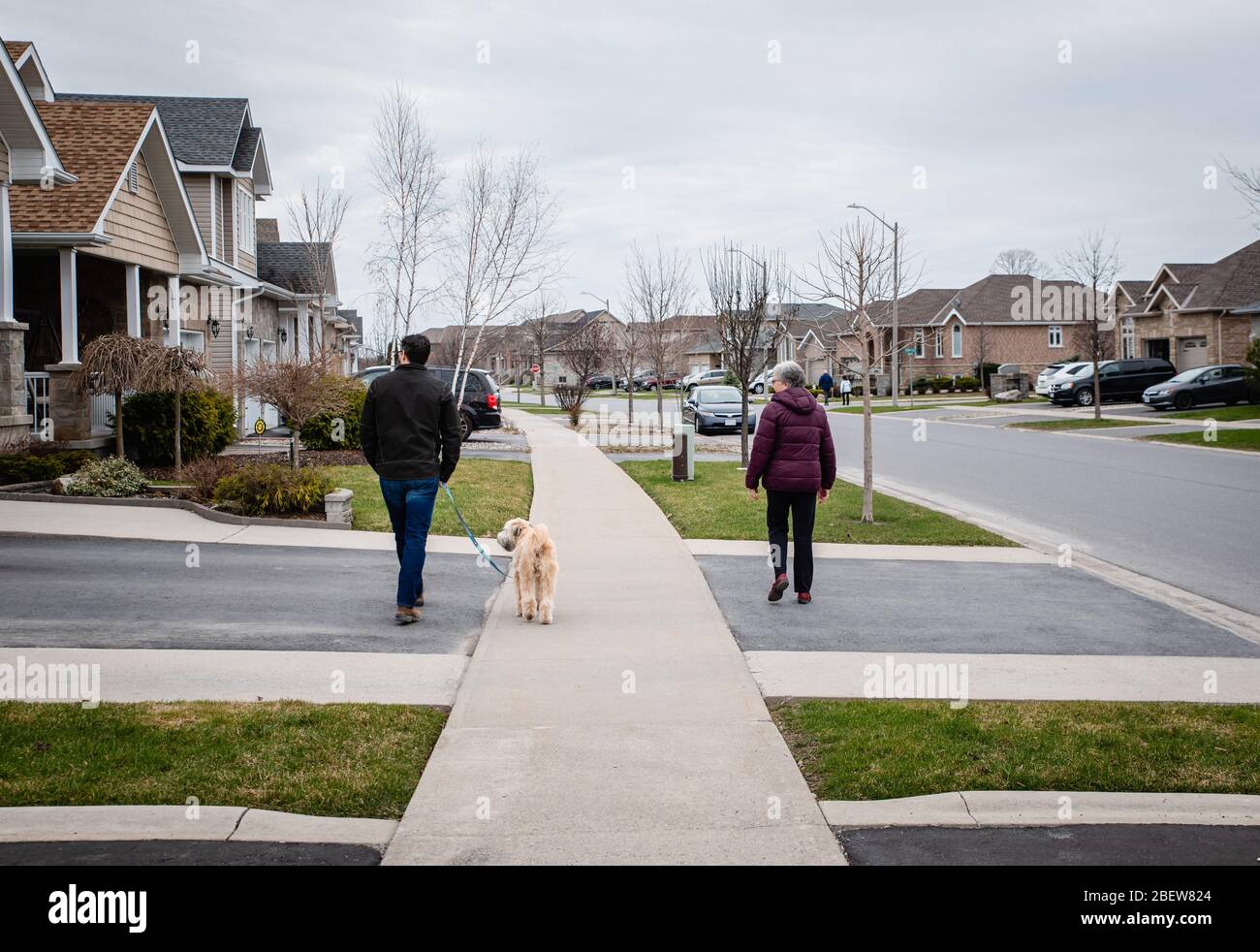 Man and older lady walking dog on sidewalk of suburban neighbourhood