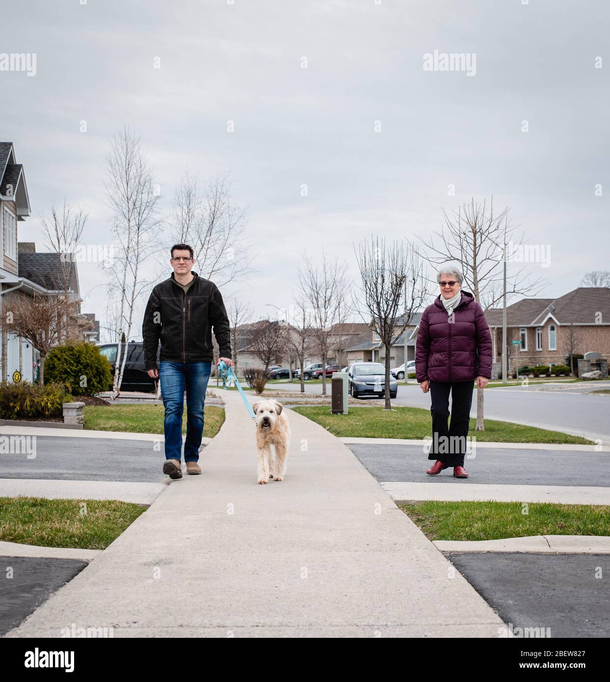 Man and older lady walking dog on sidewalk of suburban neighbourhood