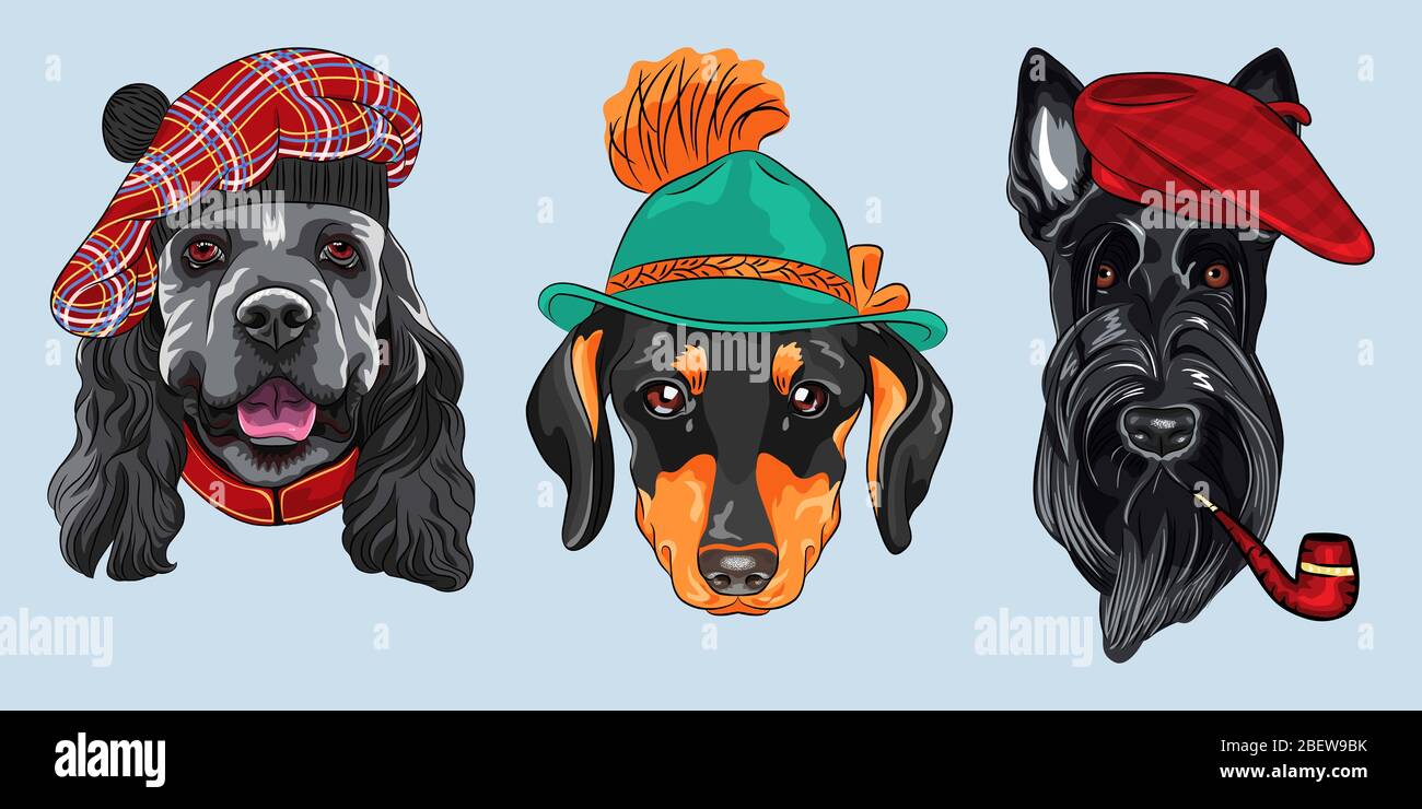 Set of hipster dogs. American Cocker Spaniel in tartan Scottish Tam, Dachshund in tyrolean hat, Scottish Terrier in red beret with a pipe Stock Vector