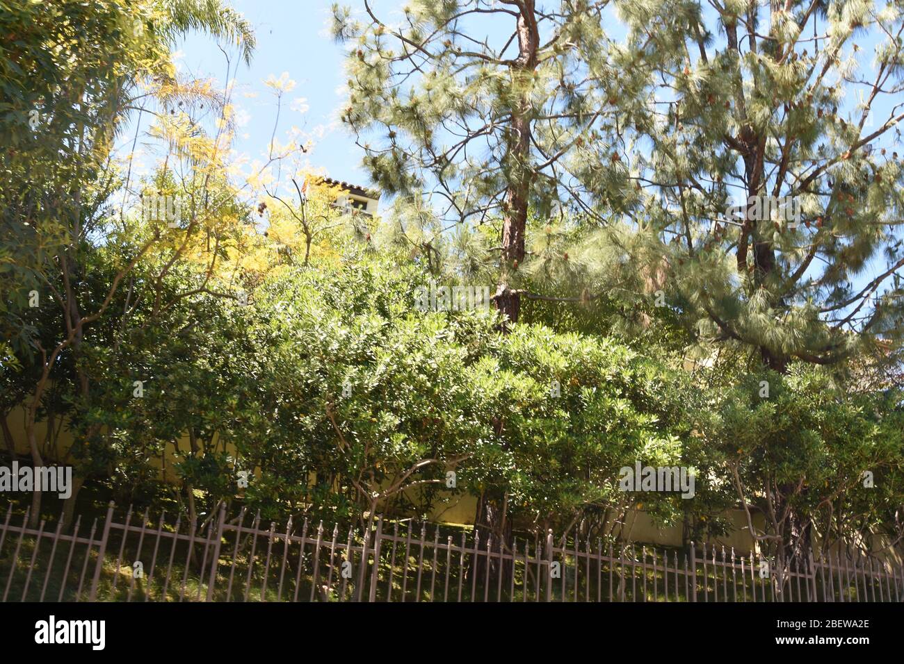 Beverly Hills, California, USA 15th April 2020 A general view of