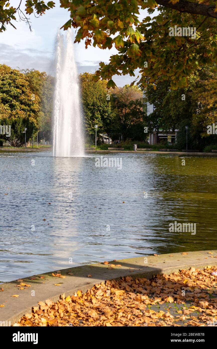 Lake and trees at Eckensee park, Stuttgart, Germany Stock Photo - Alamy