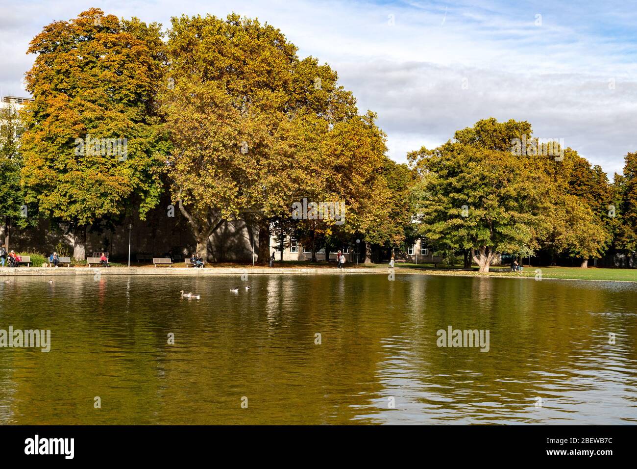 Lake and trees at Eckensee park, Stuttgart, Germany Stock Photo - Alamy