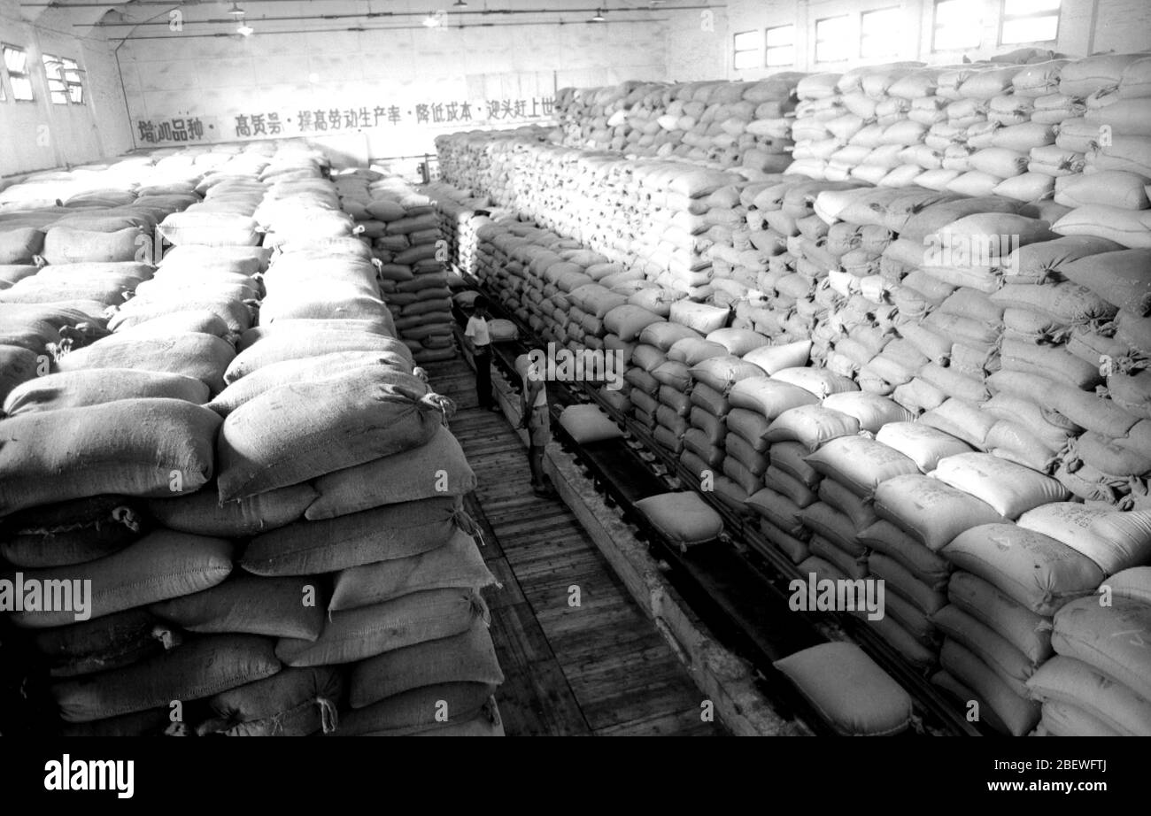 In 1964 the warehouse of Guangdong Zhongshan Sugar Factory Stock Photo