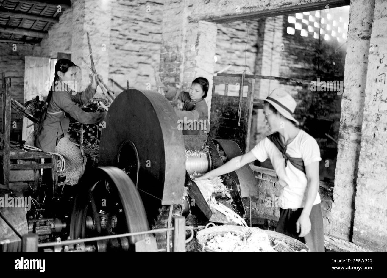 In 1965 workers in the sugar factory of Guangdong Zengcheng Macha Production Brigade were processing sugar cane Stock Photo