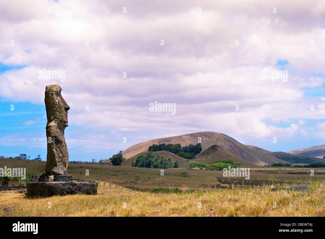 Moai statue at Ahu Akivi, site of an ancient celestial observatory on Easter Island Stock Photo