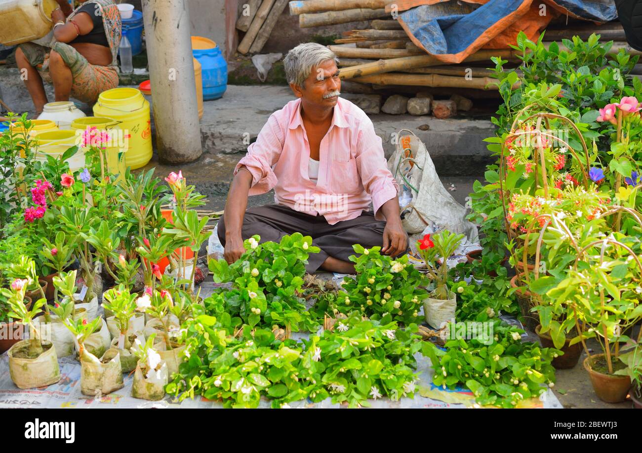 Kolkata, India - May 21, 2017: A man selling flowering plants in his shop. Stock Photo
