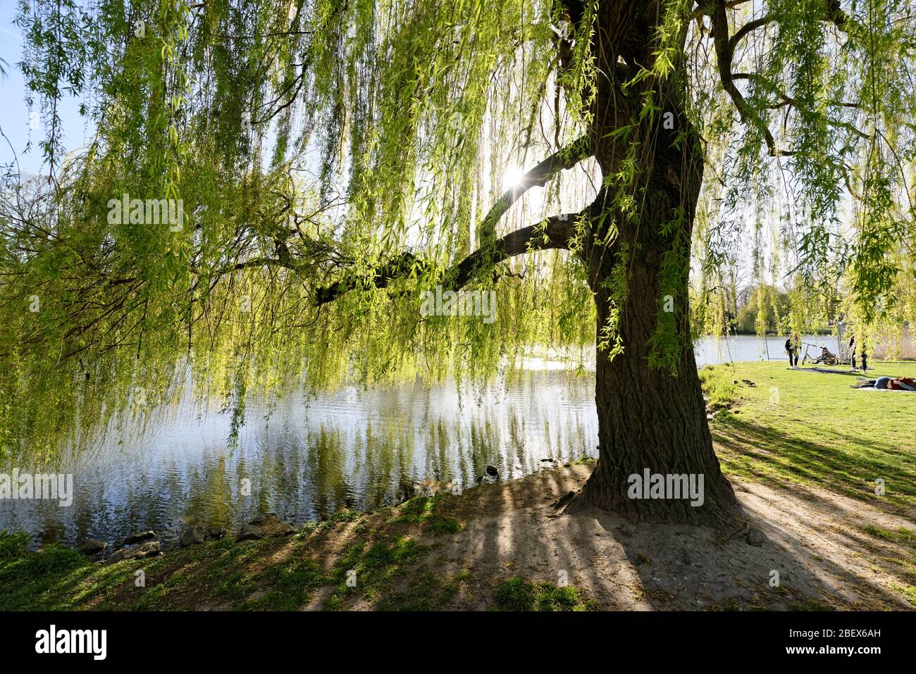 Buntenbocker Teiche,Oberharzer Wasserregal Stock Photo Alamy