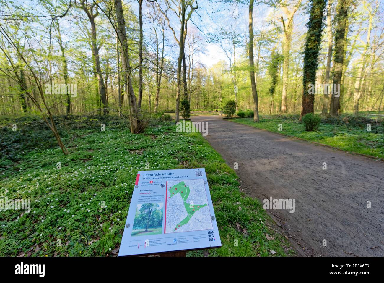 Buntenbocker Teiche,Oberharzer Wasserregal Stock Photo Alamy