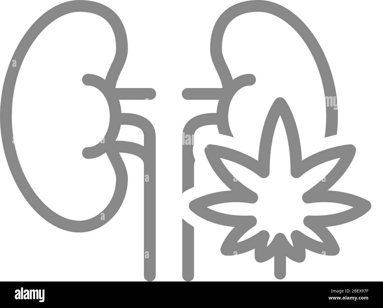 Human kidneys with marijuana leaf line icon. Cannabis treatment, anesthesia symbol Stock Vector