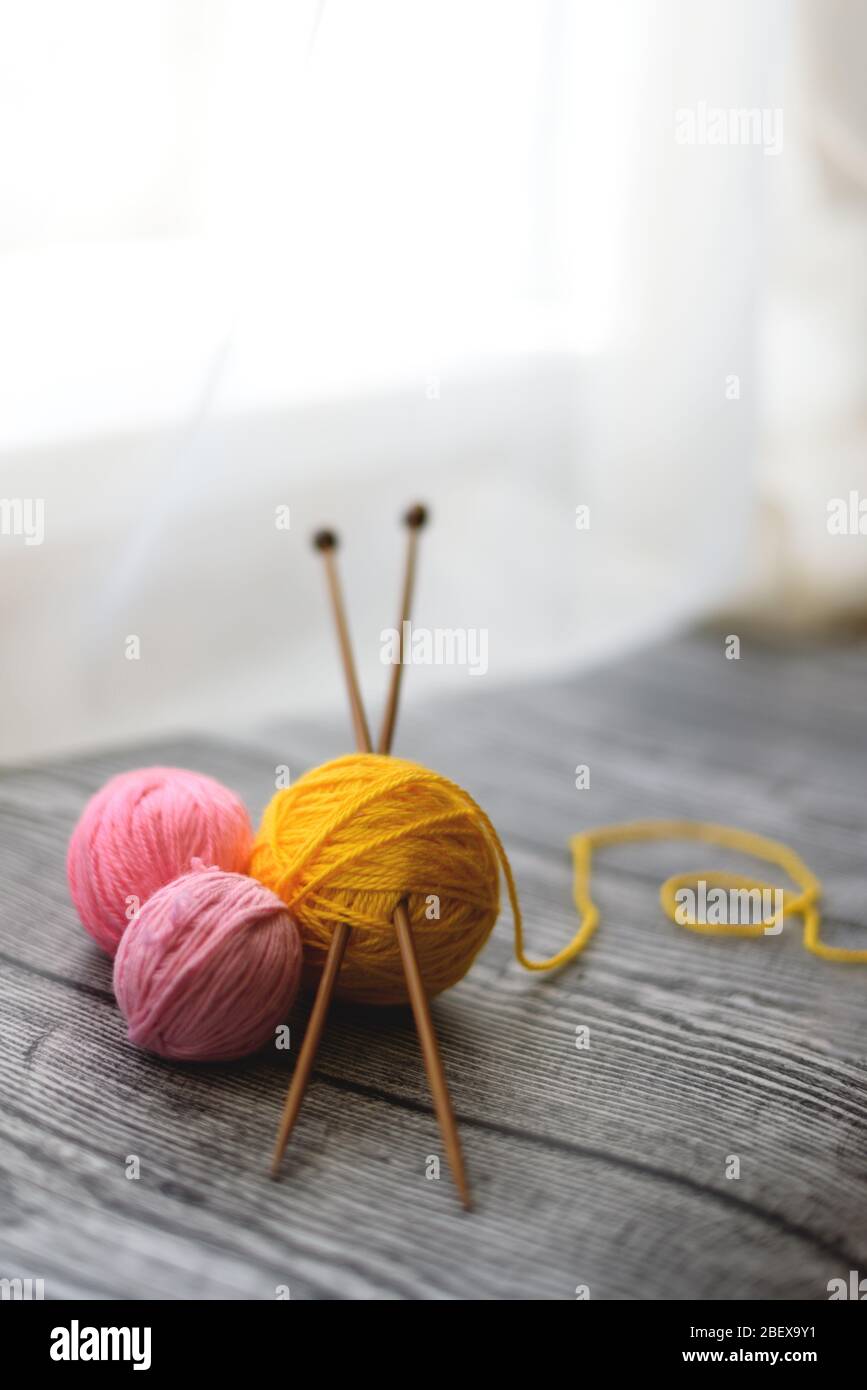 Flat lay of three colored wool balls, knitting needles laying on the wooden background. Stock Photo