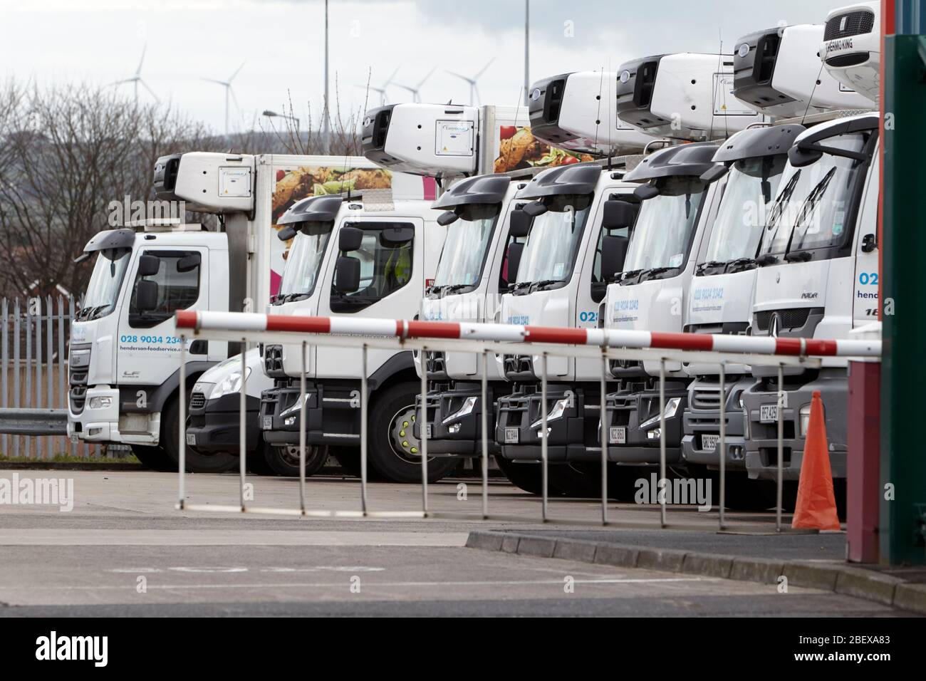 parked local food transport logistics chilled food distribution trucks Newtownabbey Northern Ireland UK Stock Photo