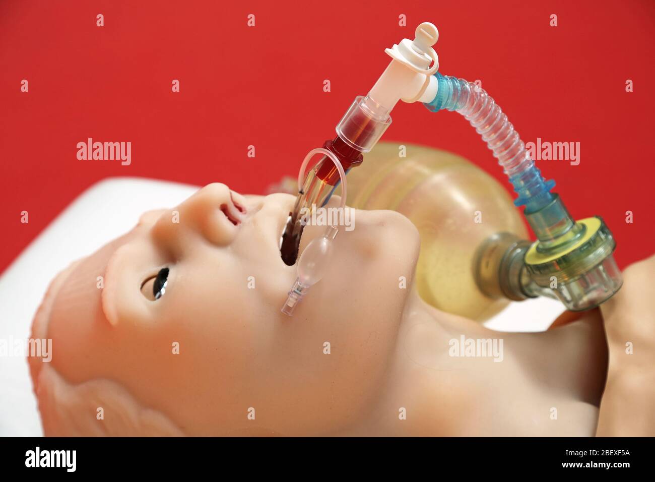 artificial respiration on patient simulator Stock Photo
