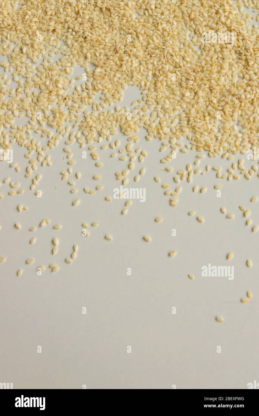 Close up view of dry sesame seeds on white background. Natural oilrich