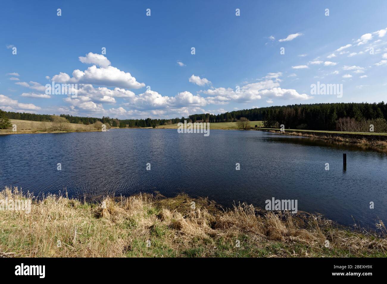 Buntenbocker Teiche,Oberharzer Wasserregal Stock Photo Alamy