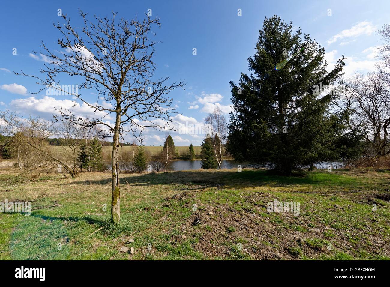 Buntenbocker Teiche,Oberharzer Wasserregal Stock Photo Alamy