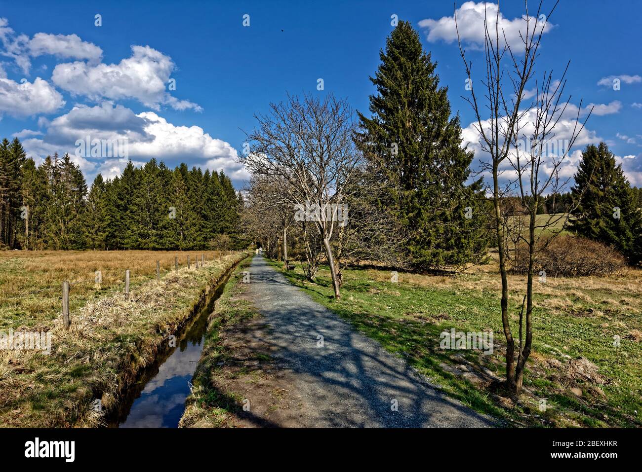 Buntenbocker Teiche,Oberharzer Wasserregal Stock Photo Alamy