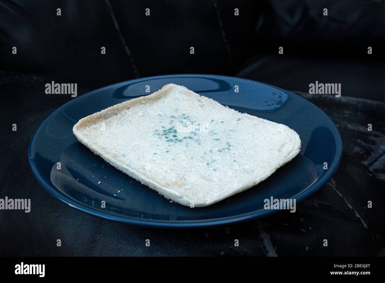 Slice of white bread with green mould growing on it. Stock Photo