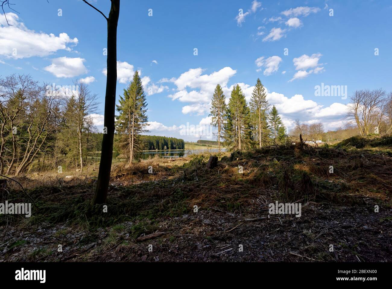 Buntenbocker Teiche,Oberharzer Wasserregal Stock Photo Alamy