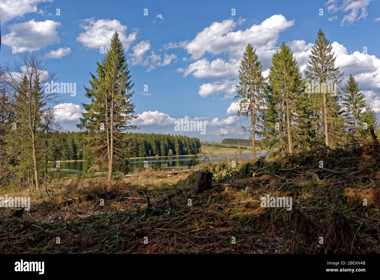 Buntenbocker Teiche,Oberharzer Wasserregal Stock Photo Alamy