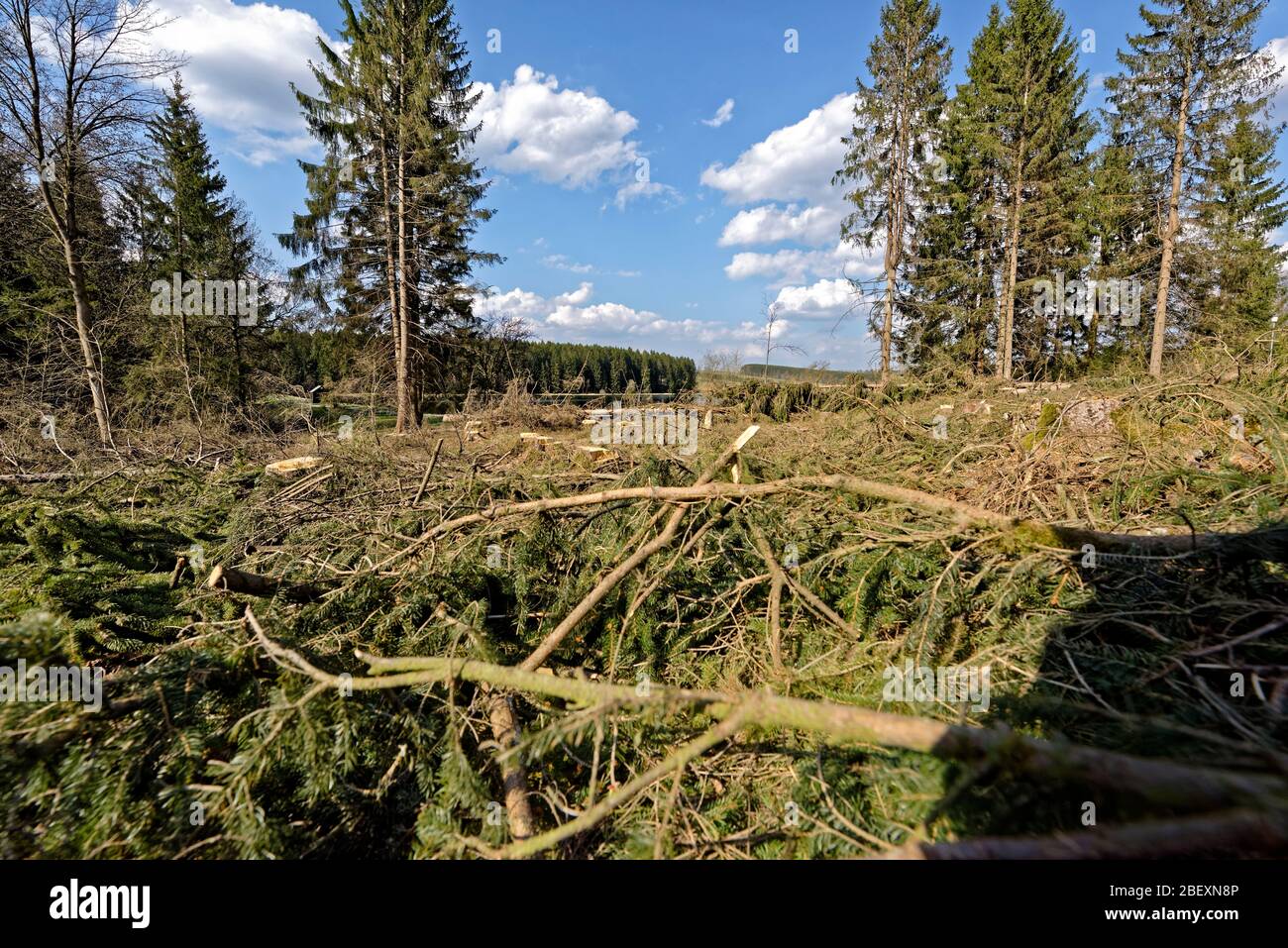 Buntenbocker Teiche,Oberharzer Wasserregal Stock Photo Alamy