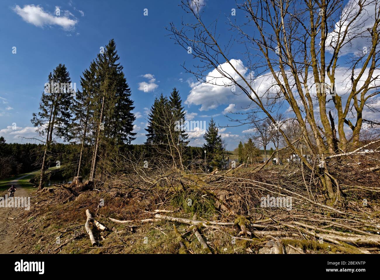 Buntenbocker Teiche,Oberharzer Wasserregal Stock Photo Alamy