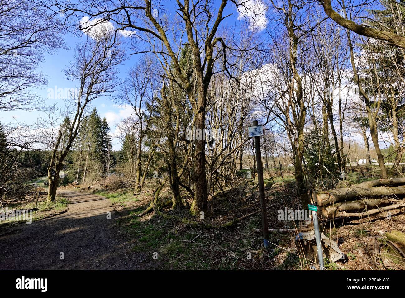 Buntenbocker Teiche,Oberharzer Wasserregal Stock Photo Alamy