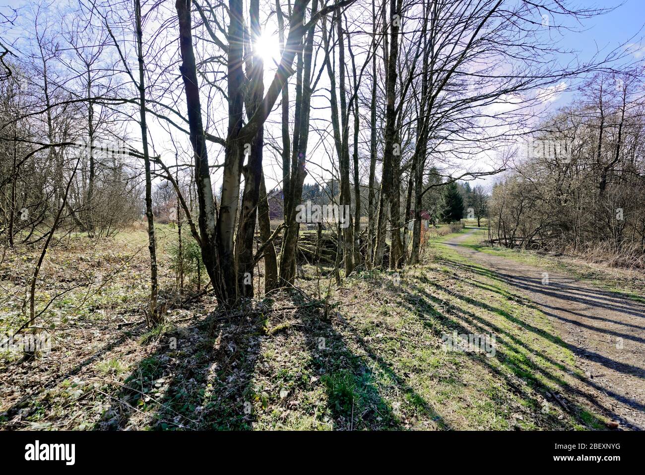 Buntenbocker Teiche,Oberharzer Wasserregal Stock Photo Alamy