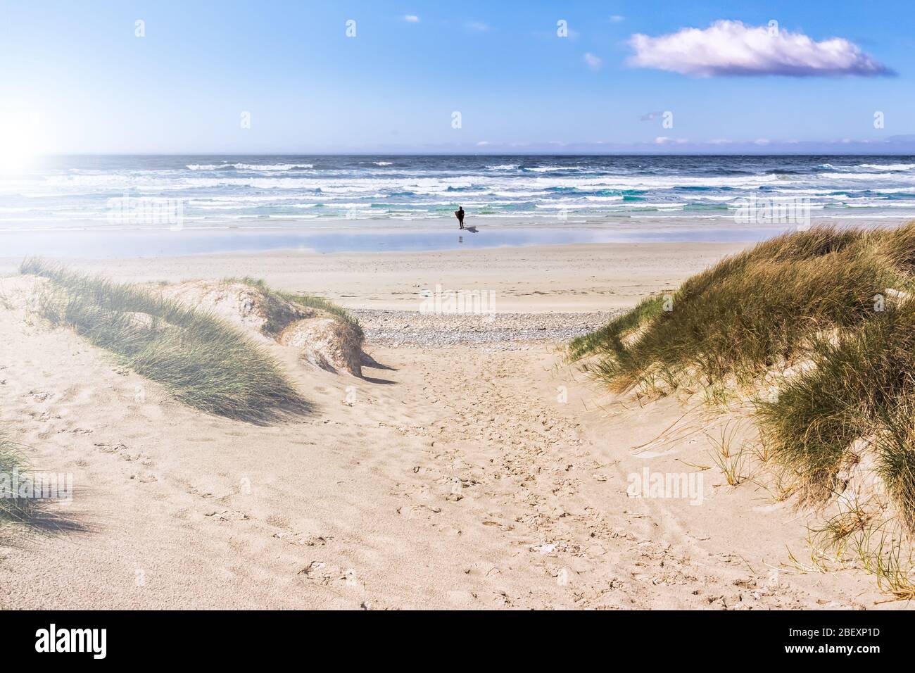 One Single Surfer on a Lonely Beach Stock Photo