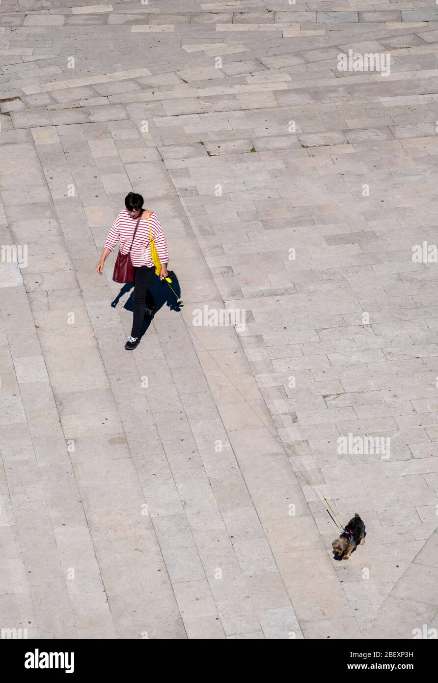 Elevated view of a woman walking her dog on a long extensible leash Stock Photo