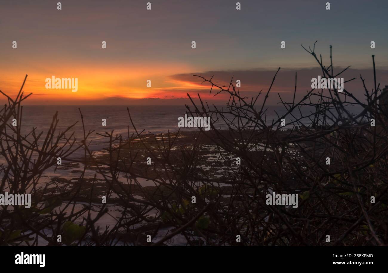 Taken while exploring wild west Java coast in Indonesia. Natural nature ...