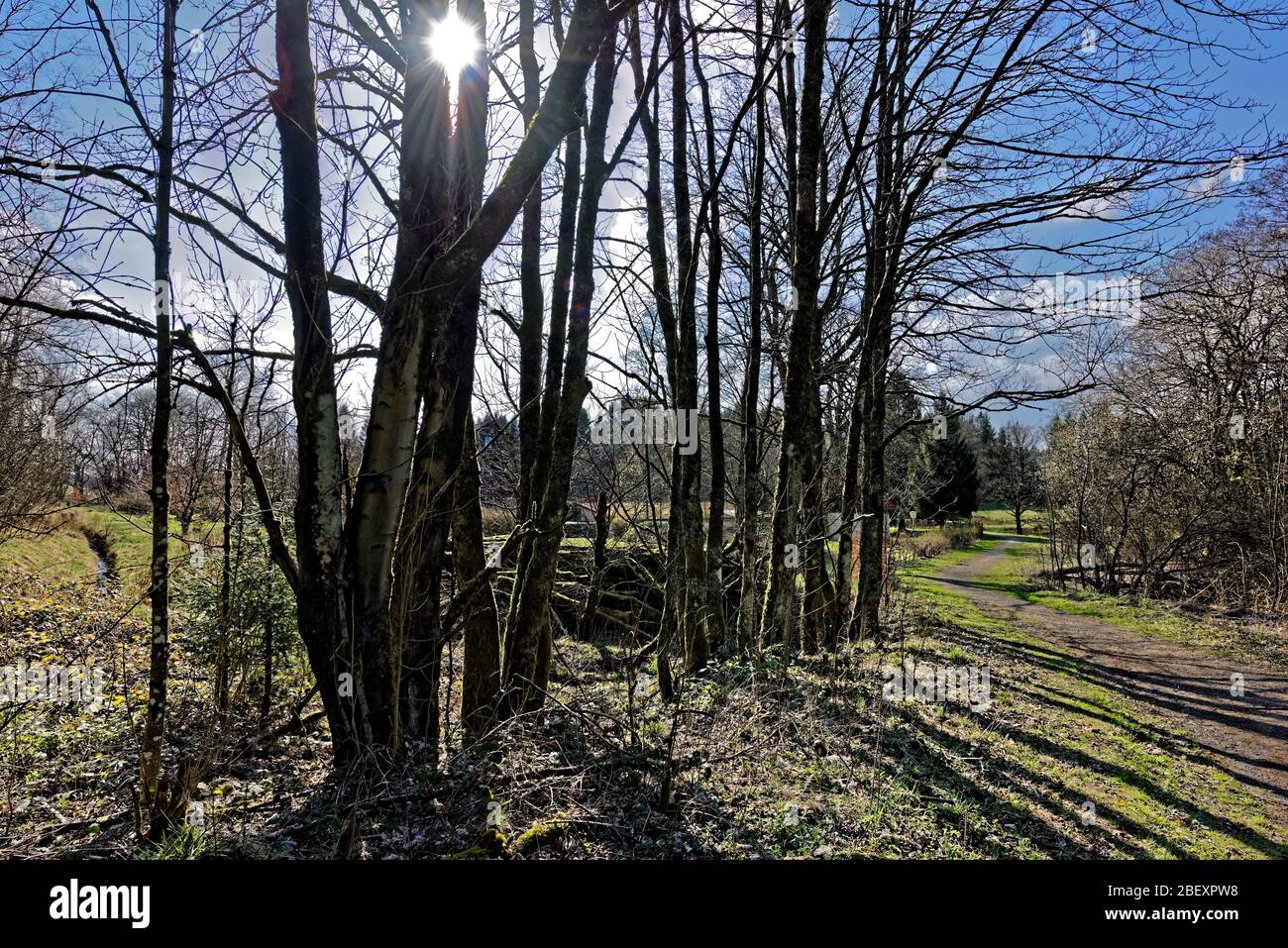 Buntenbocker Teiche,Oberharzer Wasserregal Stock Photo Alamy