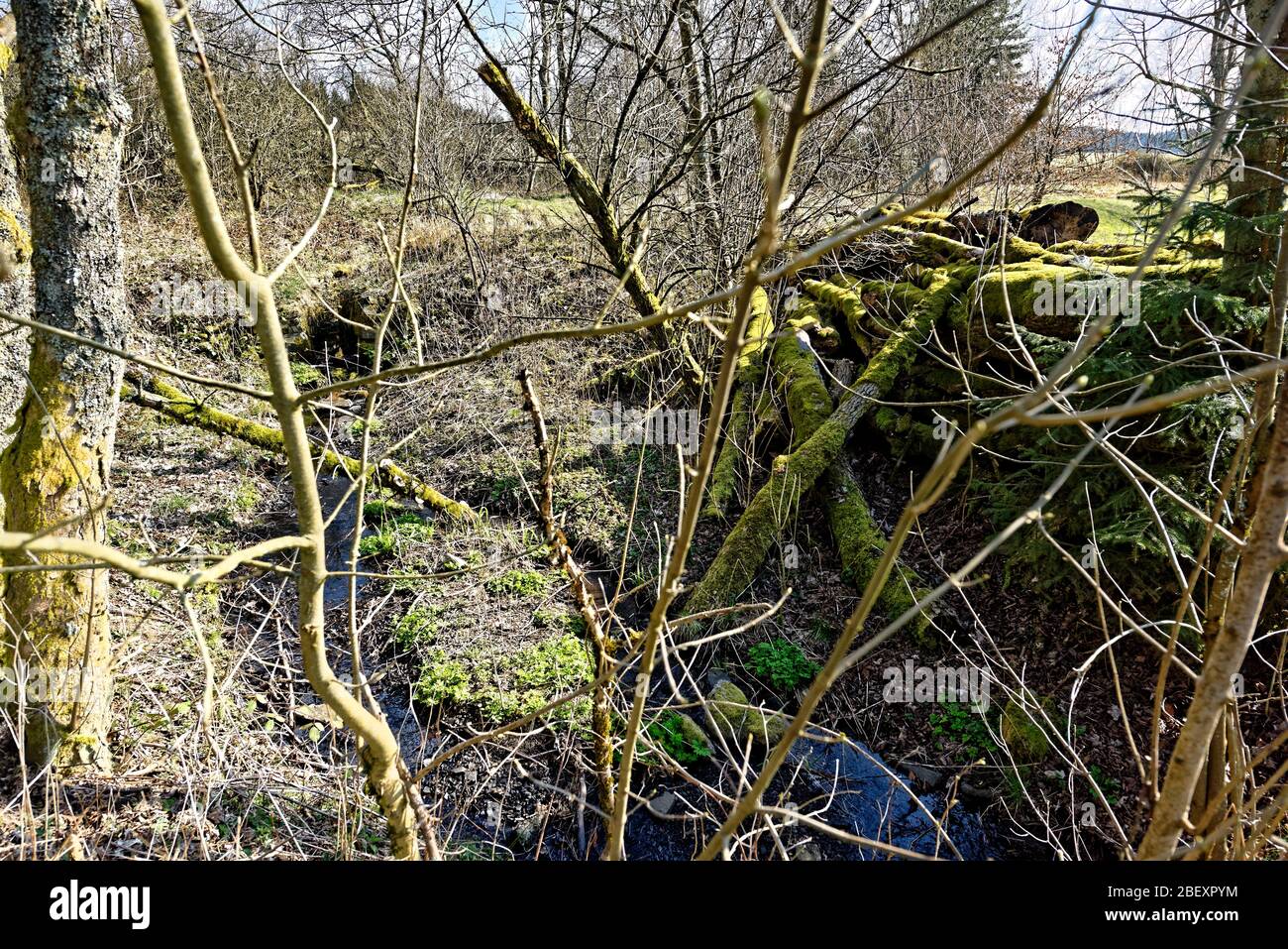 Buntenbocker Teiche,Oberharzer Wasserregal Stock Photo Alamy