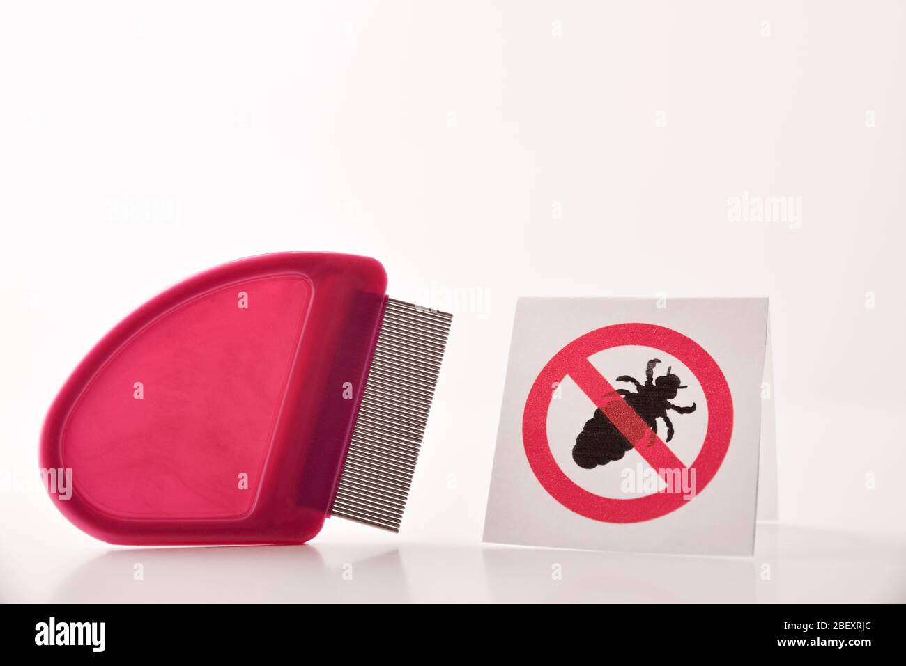 Concept of lice removal with comb and poster with drawing of prohibited