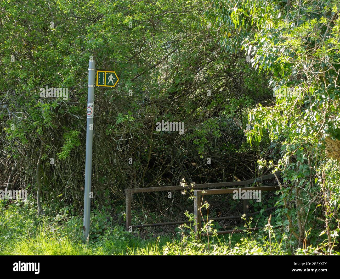 A public footpath sign pointing the way across a small bridge in Westbury, Wiltshire, UK. Stock Photo