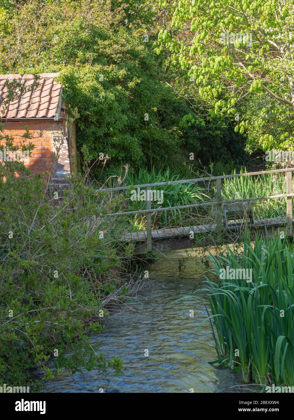 A pastoral scene with small stream, old foot bridge, rushes, trees and a brick built outbuilding in Westbury Leigh, Westbury, Wiltshire, UK. Stock Photo