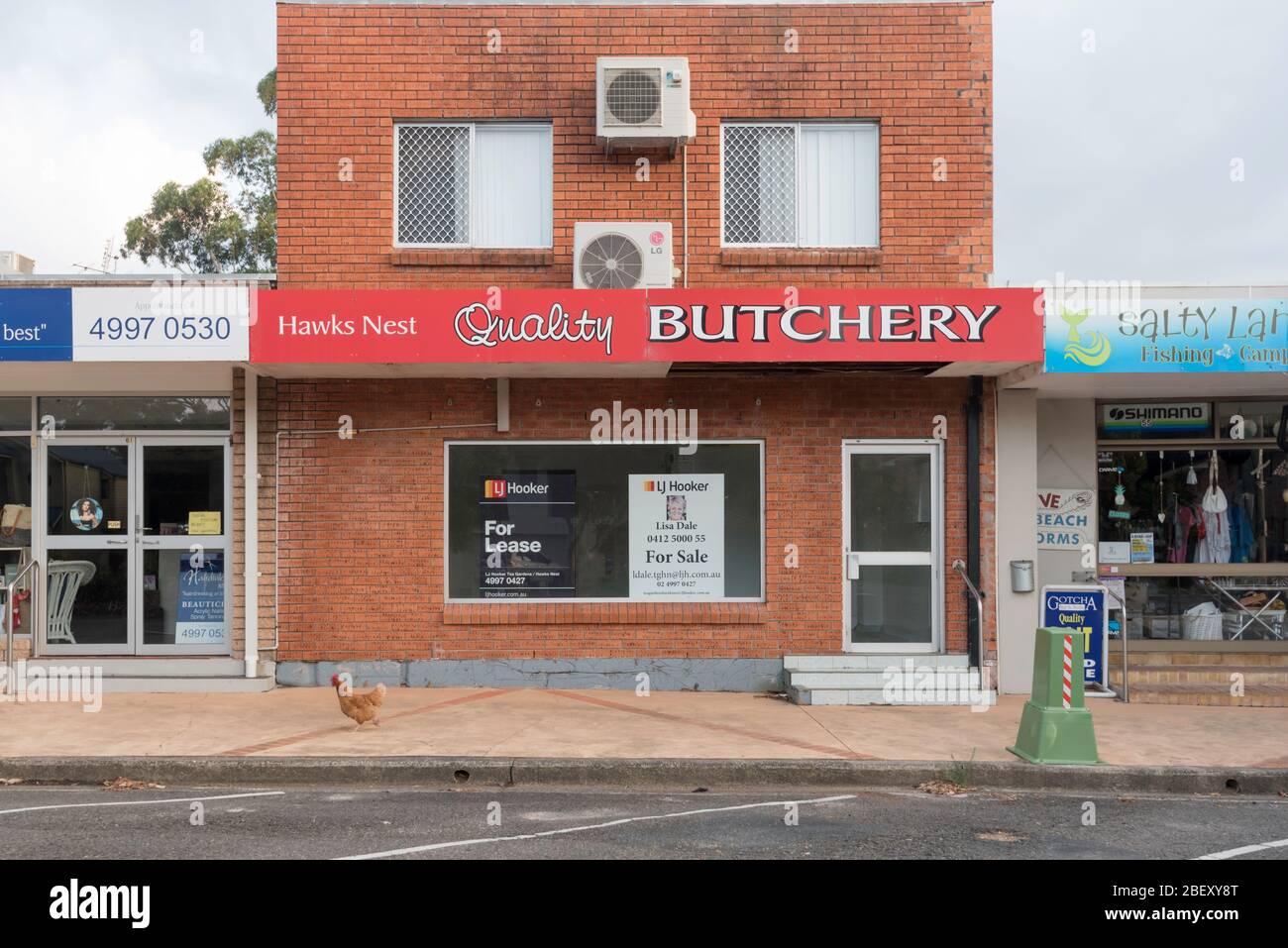 A lone chicken runs past an empty Butcher shop early on a Sunday morning in the mid north coast town of Hawks Nest, New South Wales, Australia Stock Photo