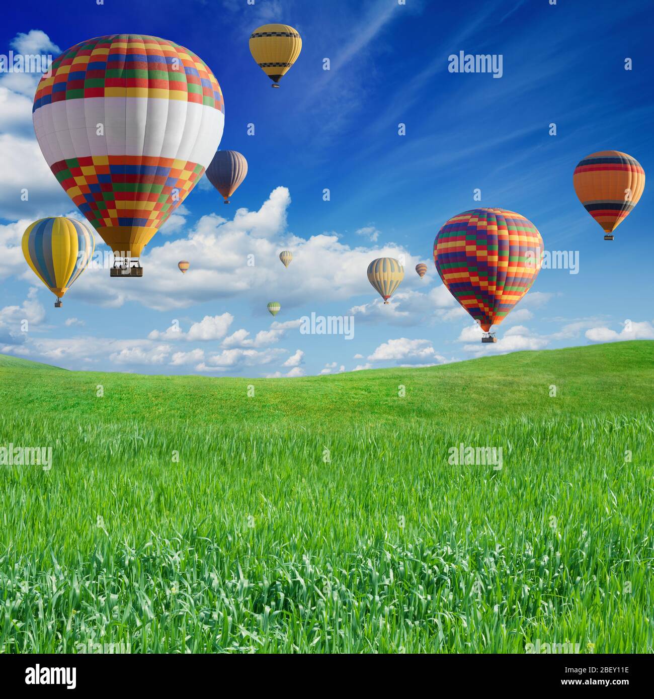 Hot air balloons flies in blue sky with white clouds above green grass ...