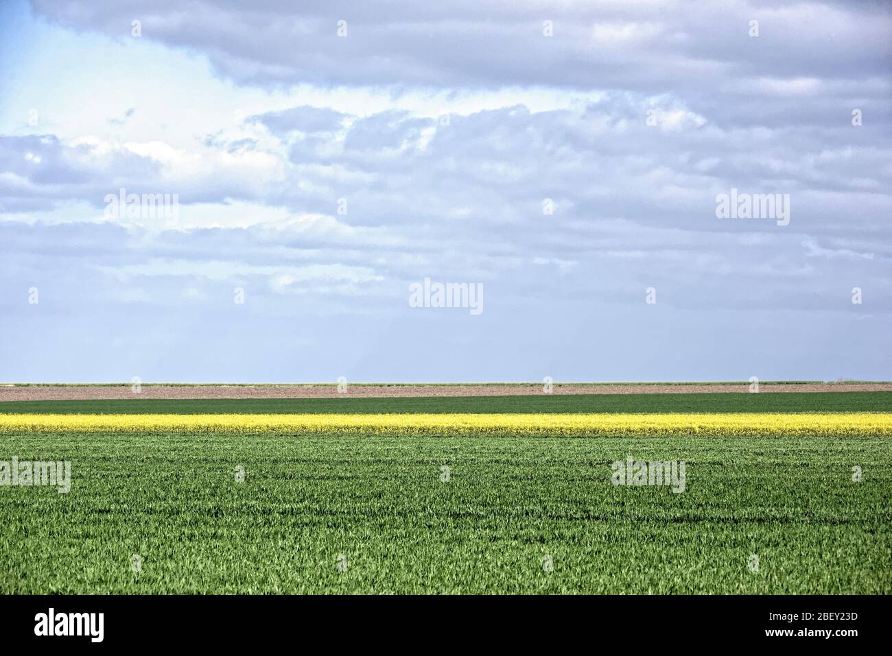 Buntenbocker Teiche, Oberharzer Wasserregal..April.2020 Stock Photo Alamy