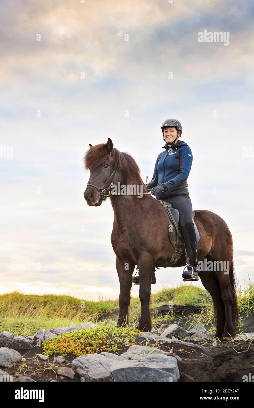 Icelandic Horse. Rider on black gelding standing among rocks. Iceland Stock Photo