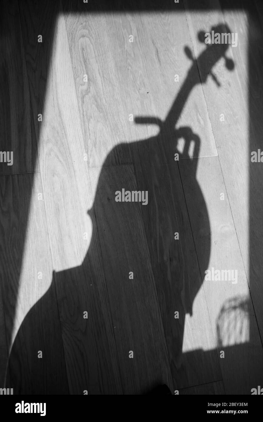 Shadow of a cello on a wooden floor Stock Photo