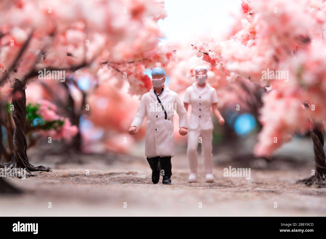Medical staff in the cherry blossom trees Stock Photo Alamy