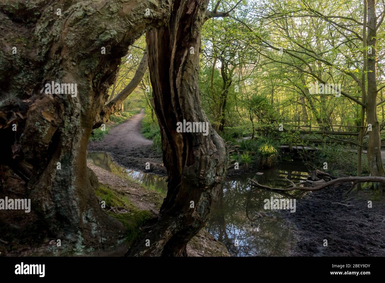 Ermine street london hires stock photography and images Alamy