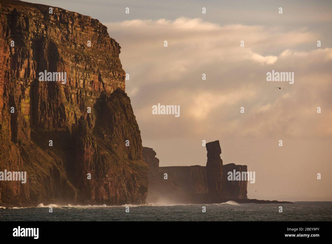 St John's Head cliffs and Old Man of Hoy, Orkney Isles Stock Photo