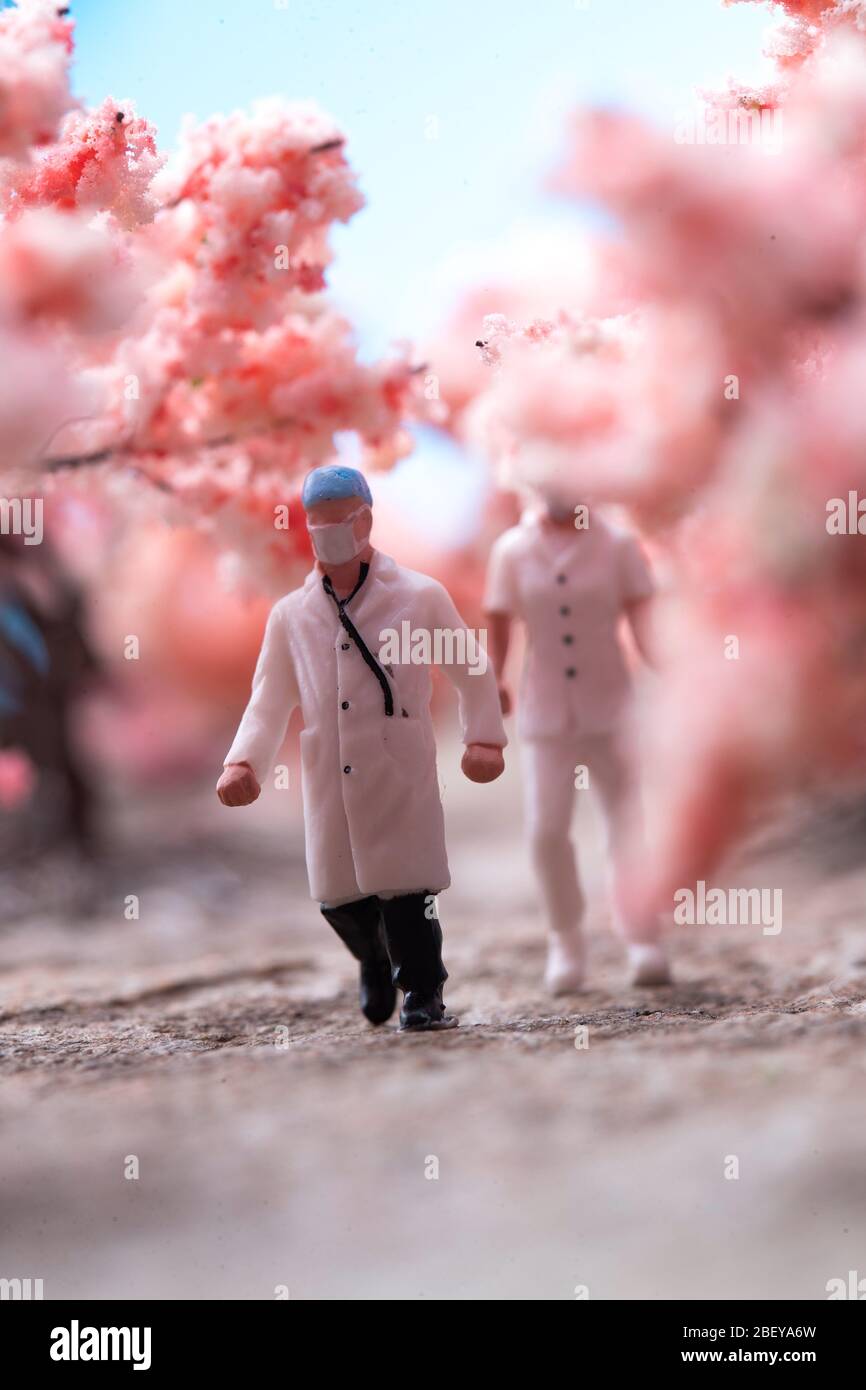 Medical staff in the cherry blossom trees Stock Photo Alamy